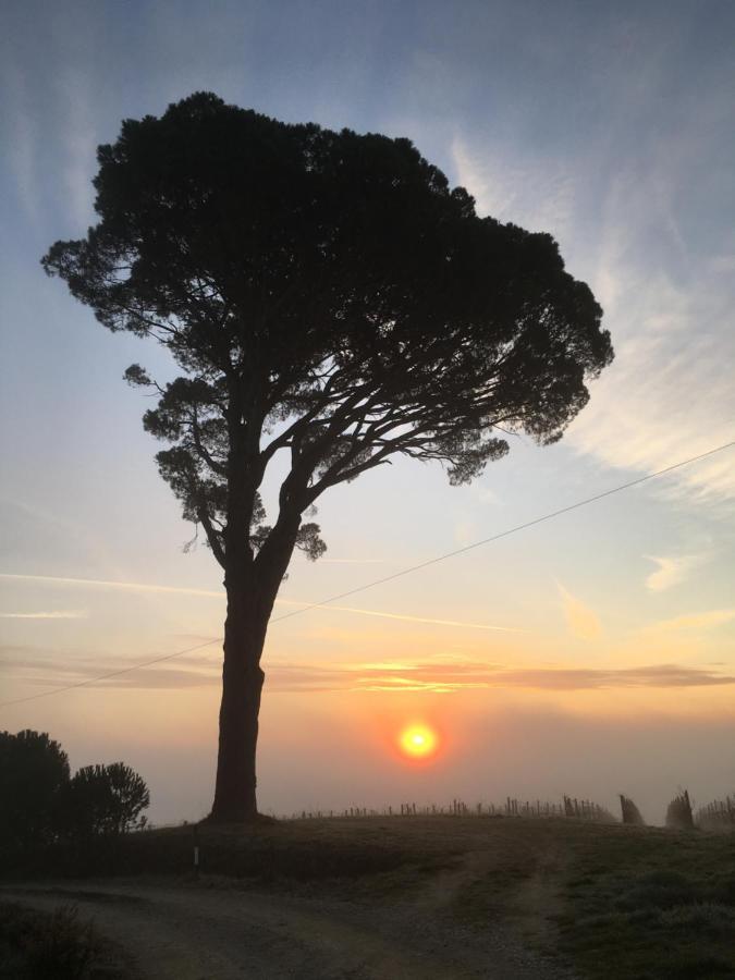 فيلا Montepulciano Stazioneفي La Falconara المظهر الخارجي الصورة