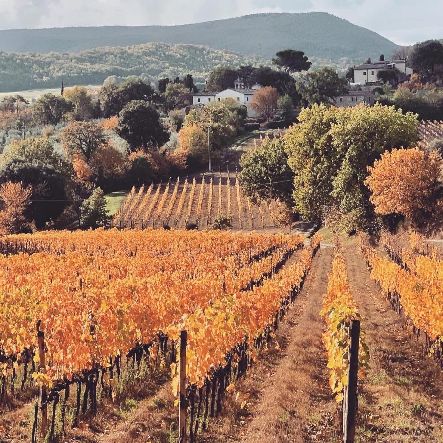 فيلا Montepulciano Stazioneفي La Falconara المظهر الخارجي الصورة