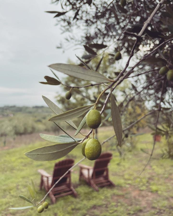 فيلا Montepulciano Stazioneفي La Falconara المظهر الخارجي الصورة