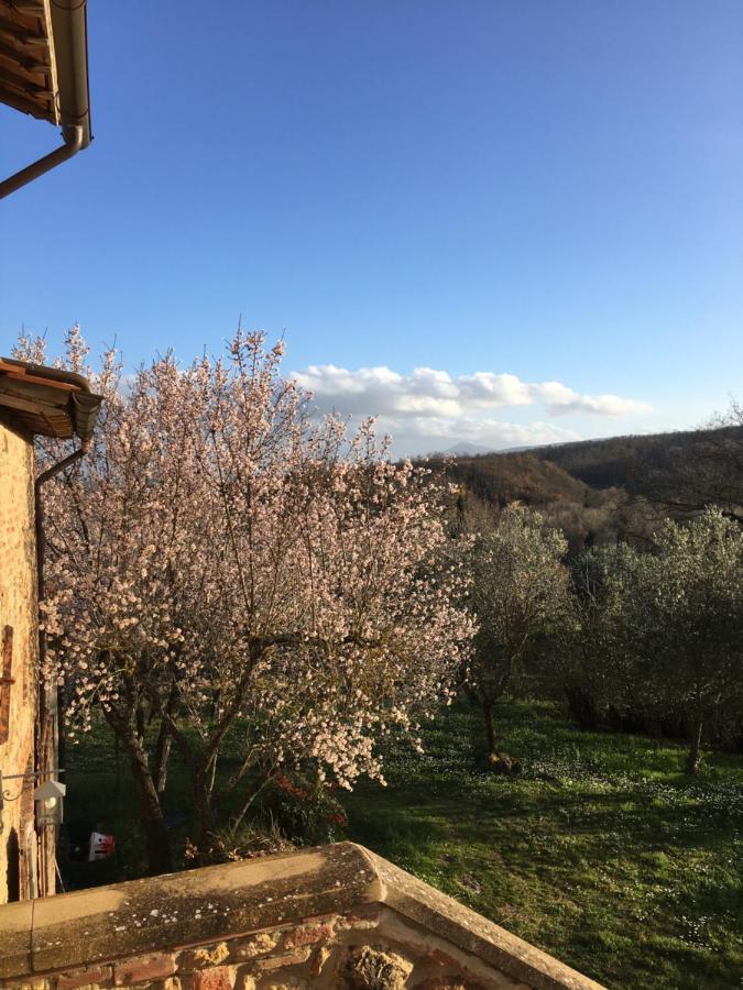 فيلا Montepulciano Stazioneفي La Falconara المظهر الخارجي الصورة