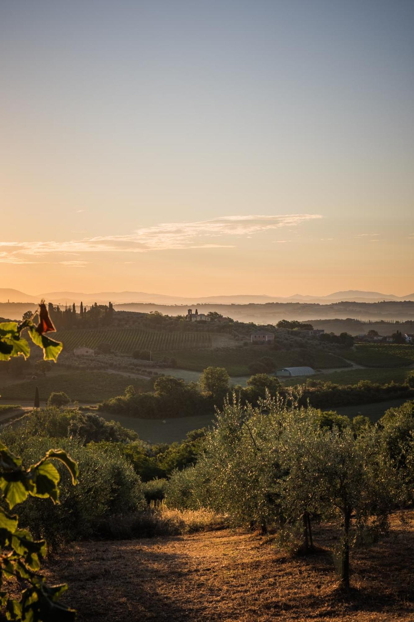 فيلا Montepulciano Stazioneفي La Falconara المظهر الخارجي الصورة